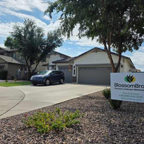 landscape service in Queen Creek, AZ - Blossom Bros